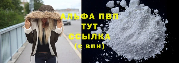 спиды Богданович