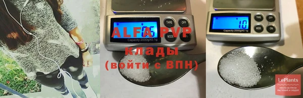 спиды Богданович