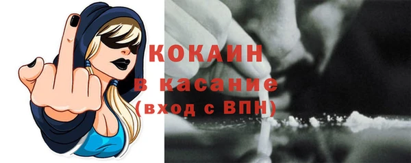 спиды Богданович