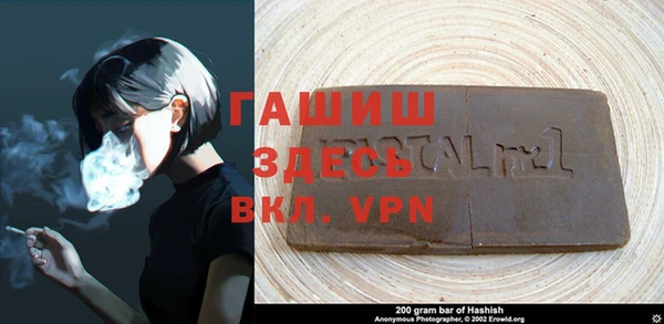 спиды Богданович